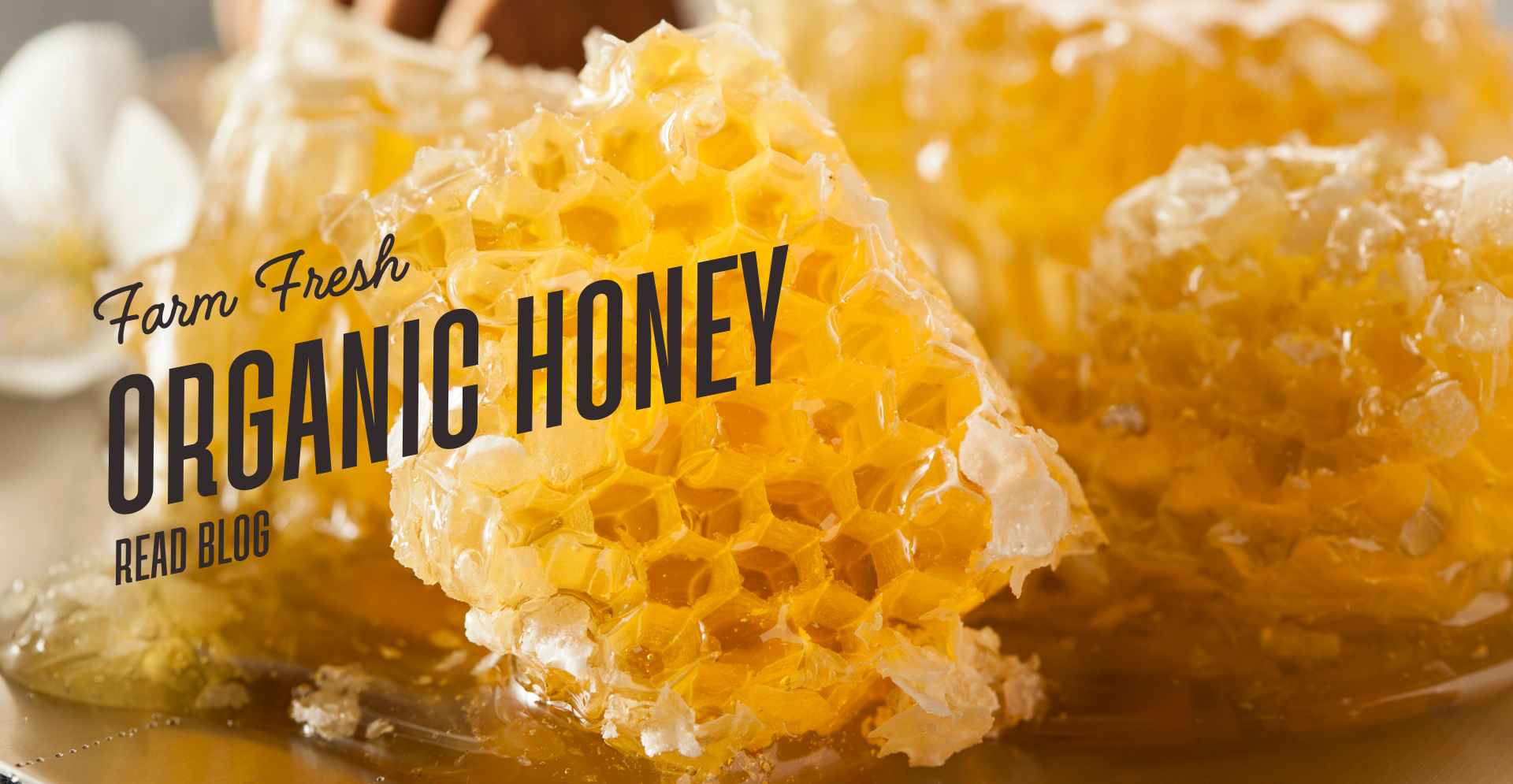 The Multifaceted Health Benefits of Pure Raw Honey